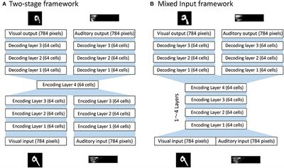 An Information Theoretic Approach to Reveal the Formation of Shared Representations